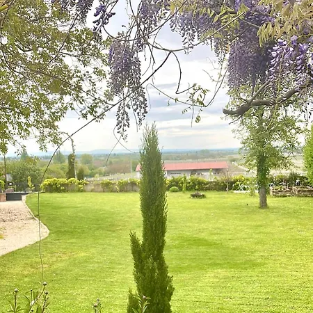 Delange Landau in der Pfalz