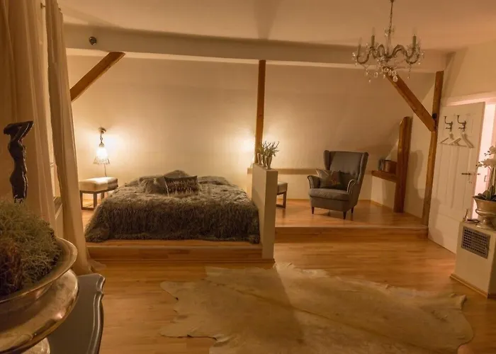 德兰芝别墅酒店 朗道因德普法尔茨