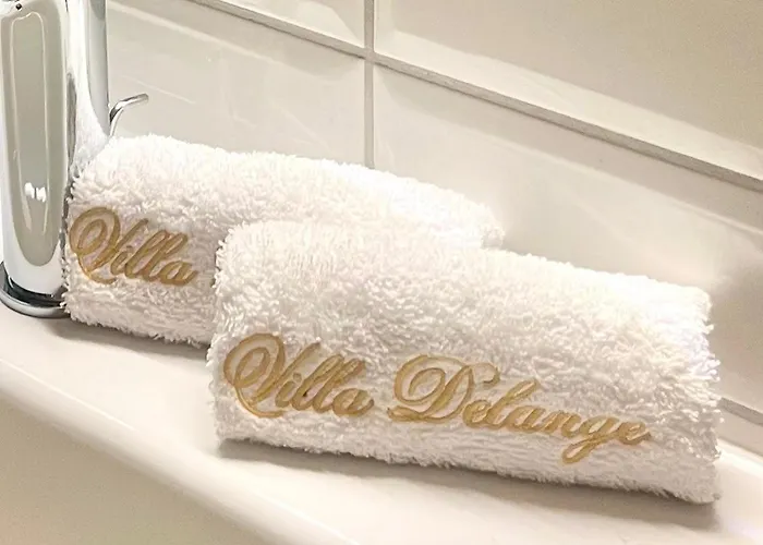 招待所 德兰芝别墅酒店